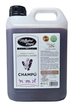 SZAMPON LAWENDA I JAŚMIN 5 L
