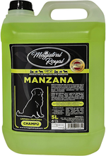 SZAMPON JABŁKOWY 5 L