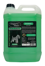 SZAMPON NATUR FRESH  5 L