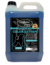 SZAMPON WZMACNIAJĄCY KOLOR COLOR EXTREM 5 L